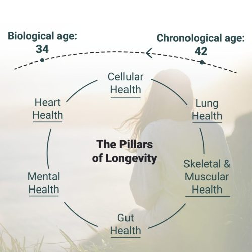 Longevity Insights IG Post -05